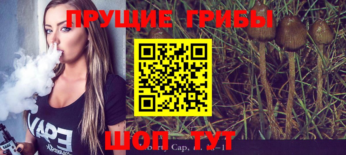 Вичуга  Псилоцибиновые грибы мицелий  Вход с VPN 