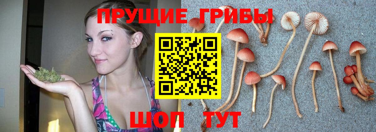 Галлюциногенные грибы мицелий Вичуга